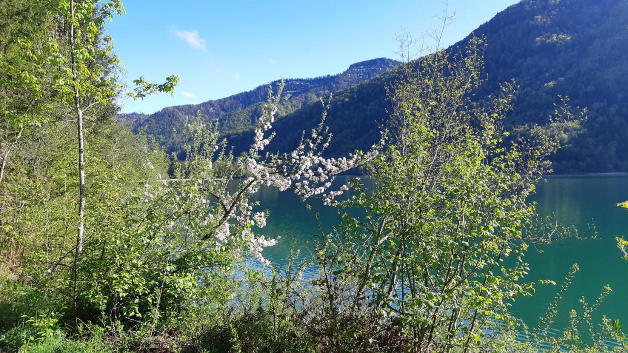 Jaegerhaus Villa Hintersee Exterior photo