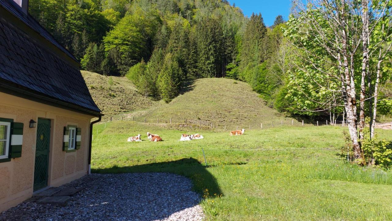 Jaegerhaus Villa Hintersee Exterior photo
