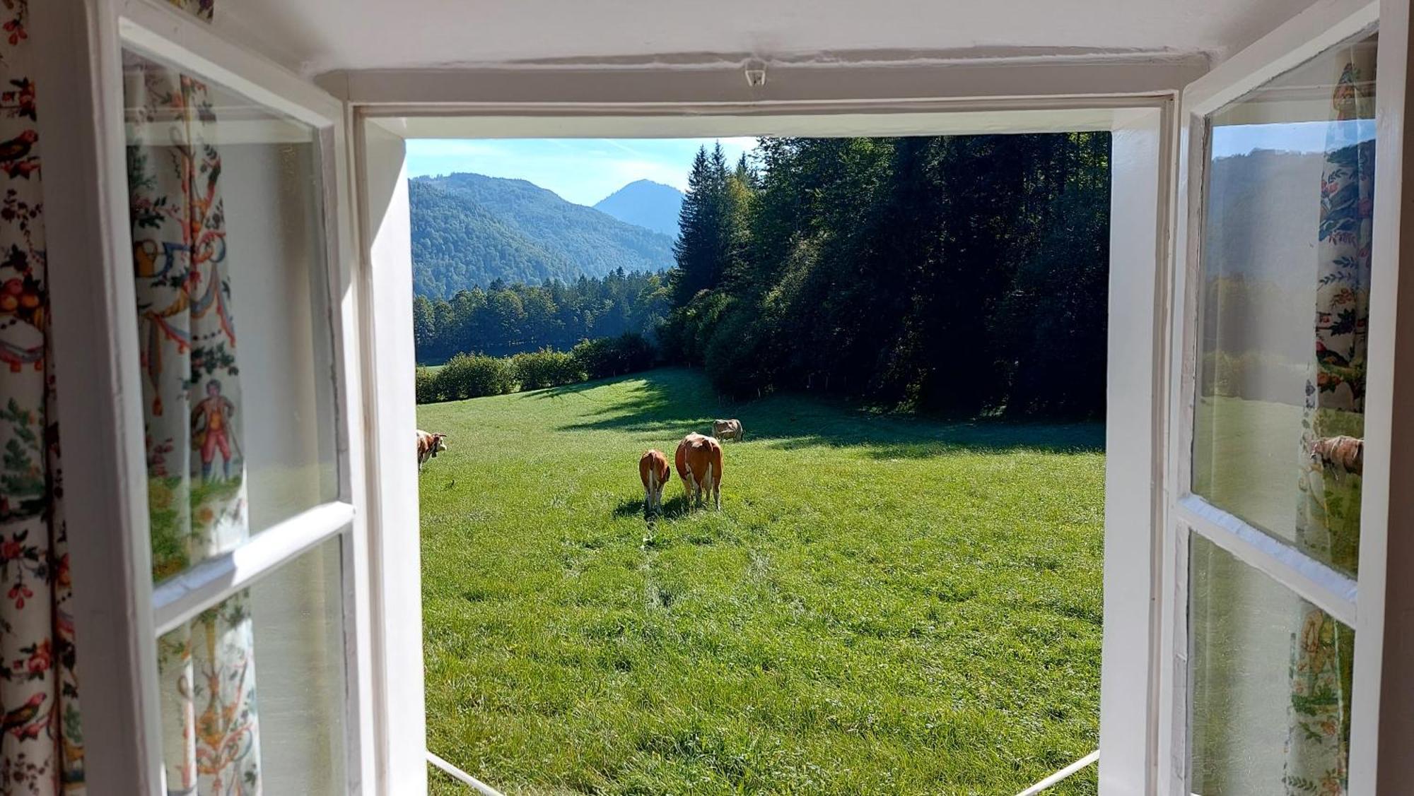 Jaegerhaus Villa Hintersee Exterior photo